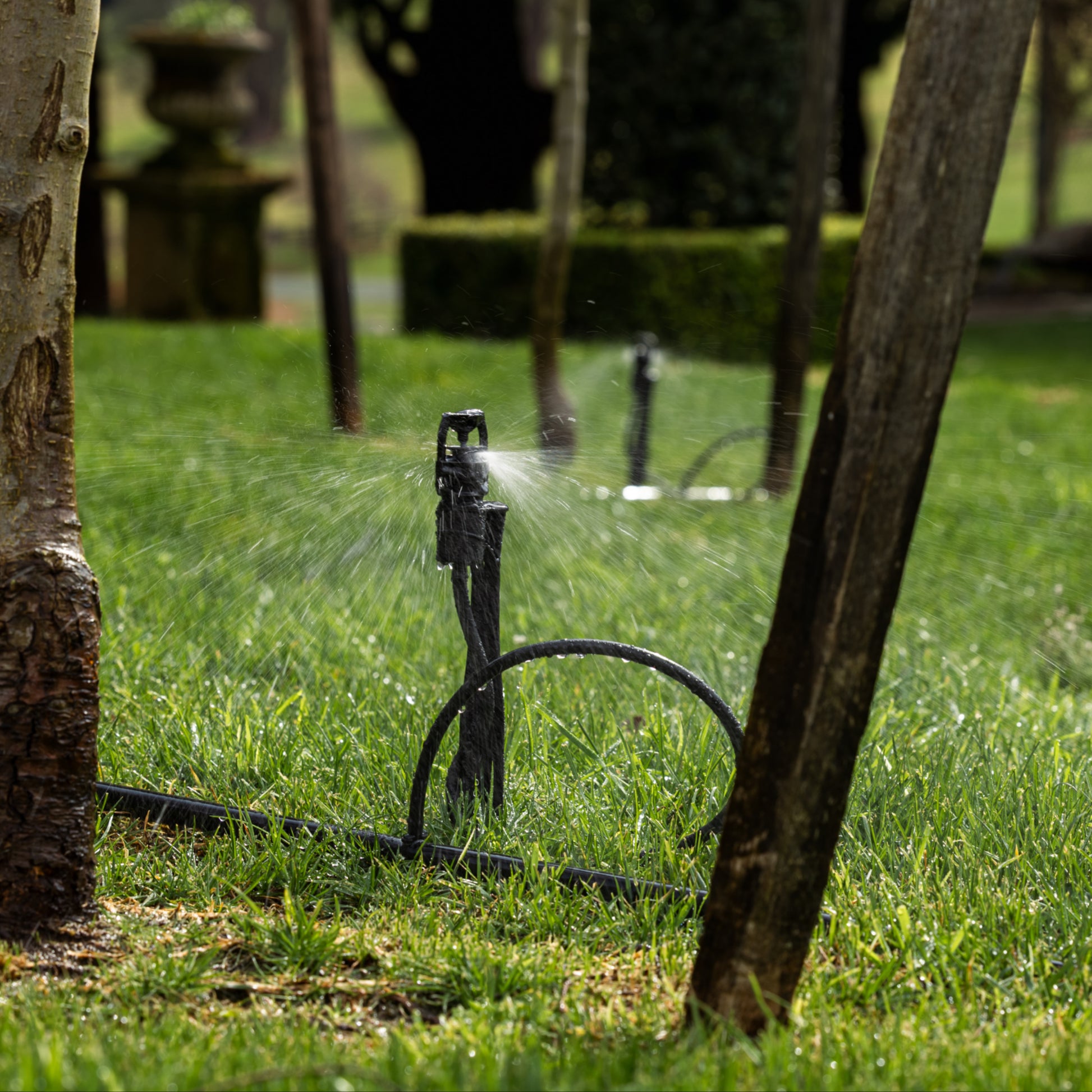 two under tree sprinkler spikes each watering the base of a tree