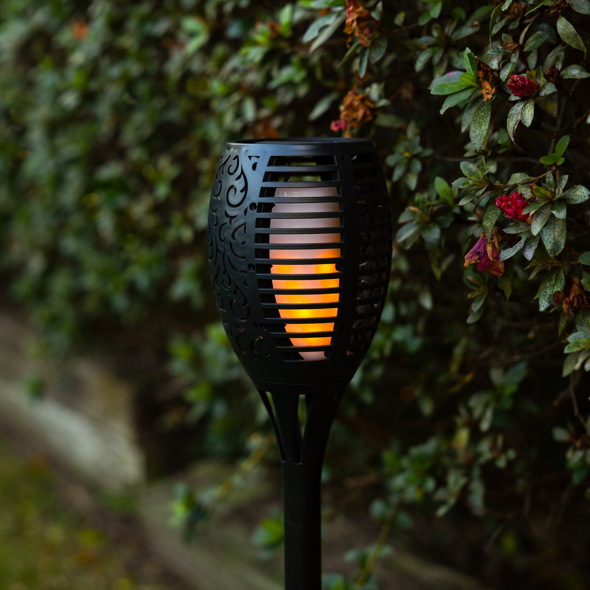 Close-up of Tiki Torch Lights at dusk