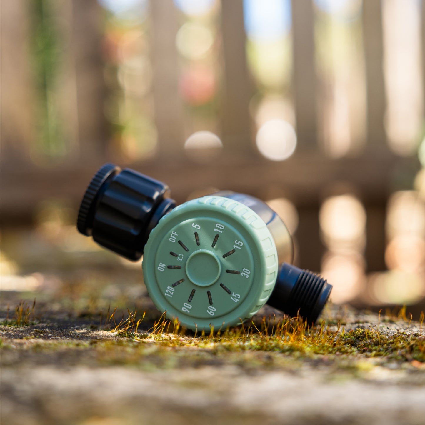 Sage green timer laying on a mossy steppign stone