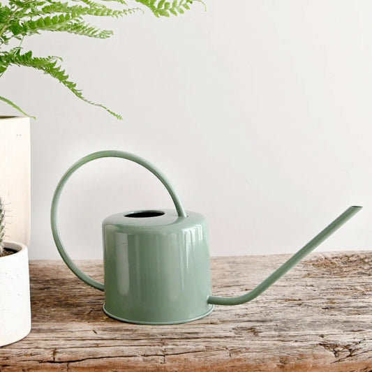 Indoor Watering Can