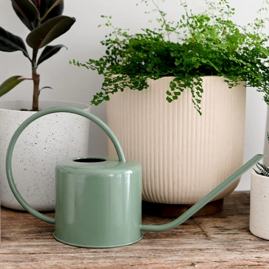 Indoor Watering Can