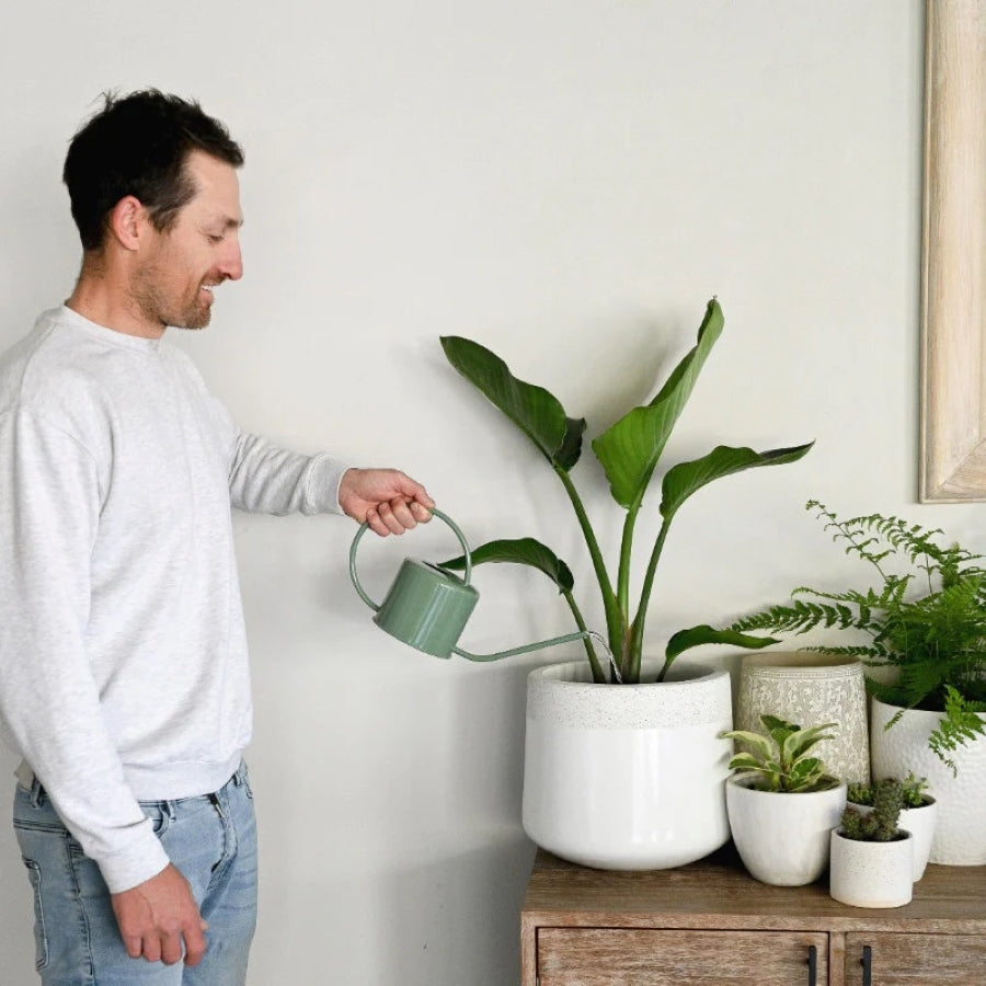 Indoor Watering Can