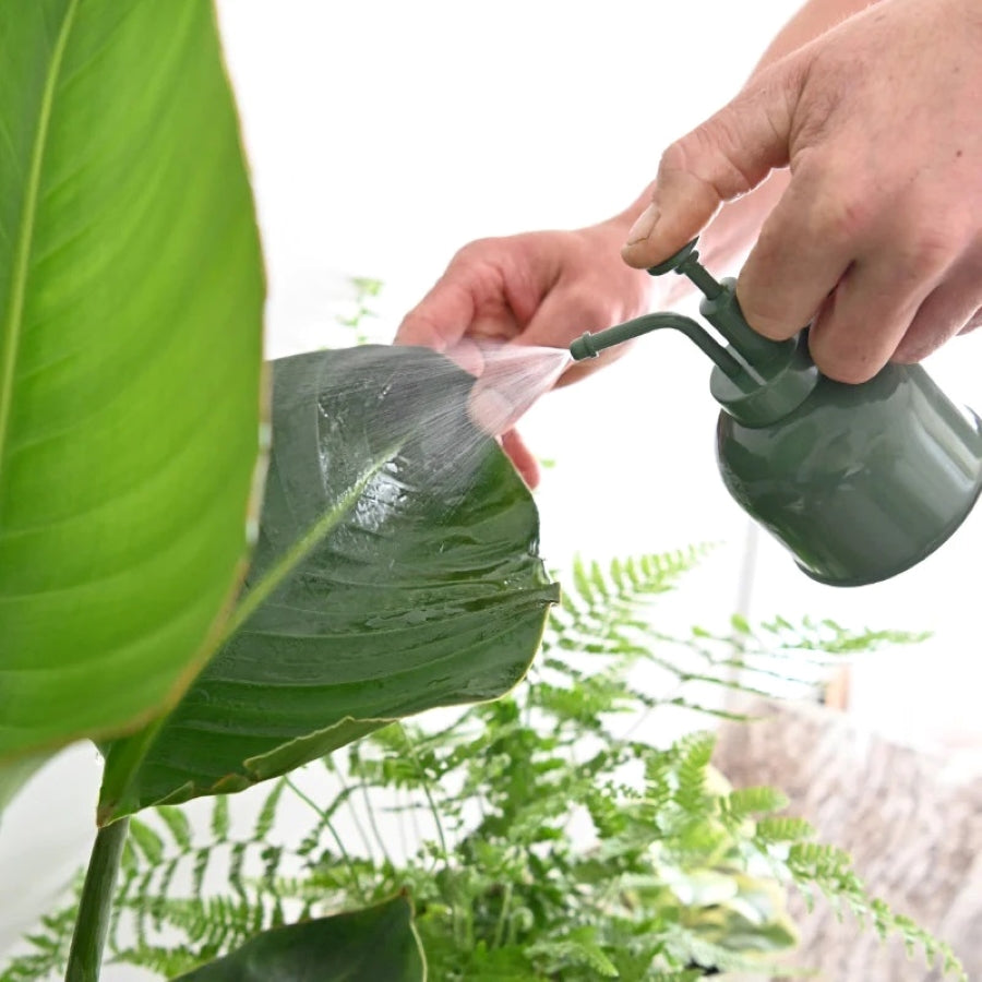 Indoor Plant Mister