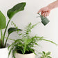 Indoor Plant Mister