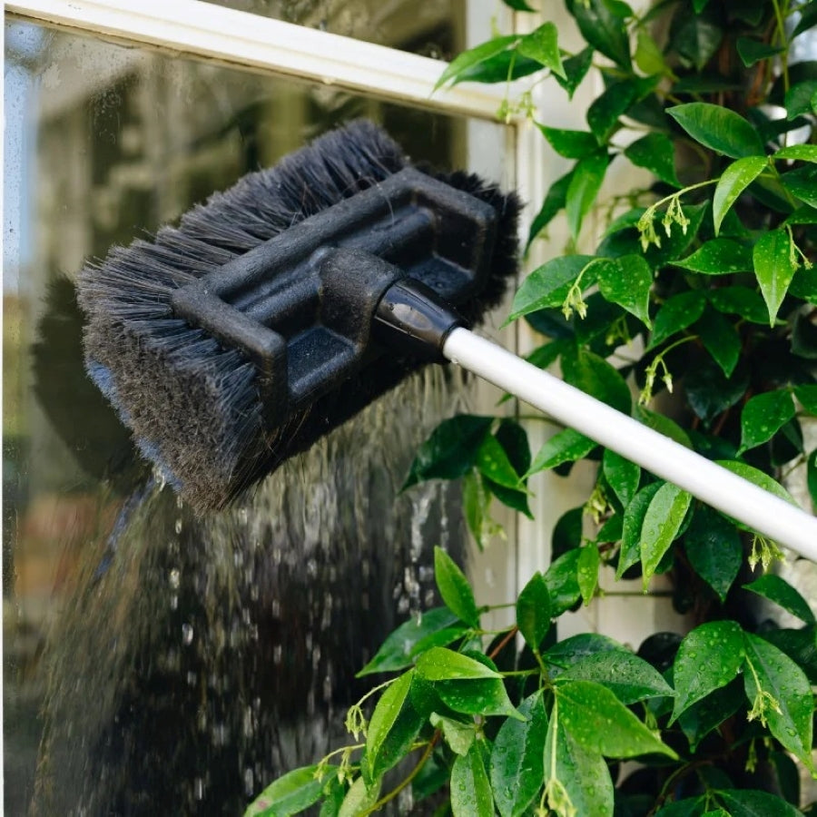 Soft head attachment on extendable cleaning brush being used to clean a window in a white window frame with green leaves climbing the wall next to it