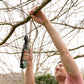 Pruning Saw