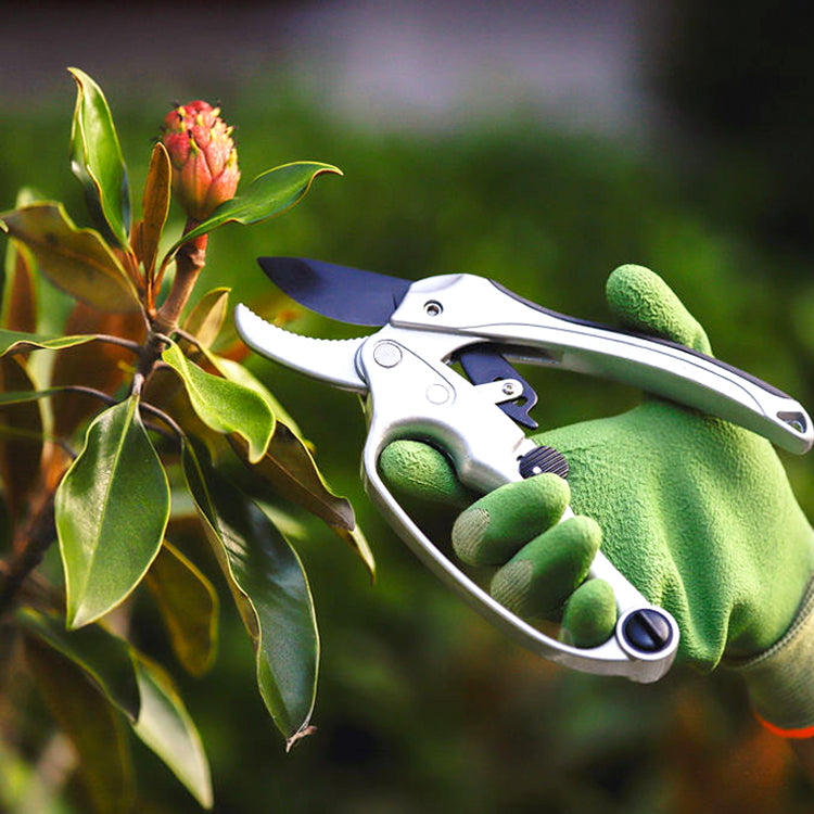 Ratchet Pruners