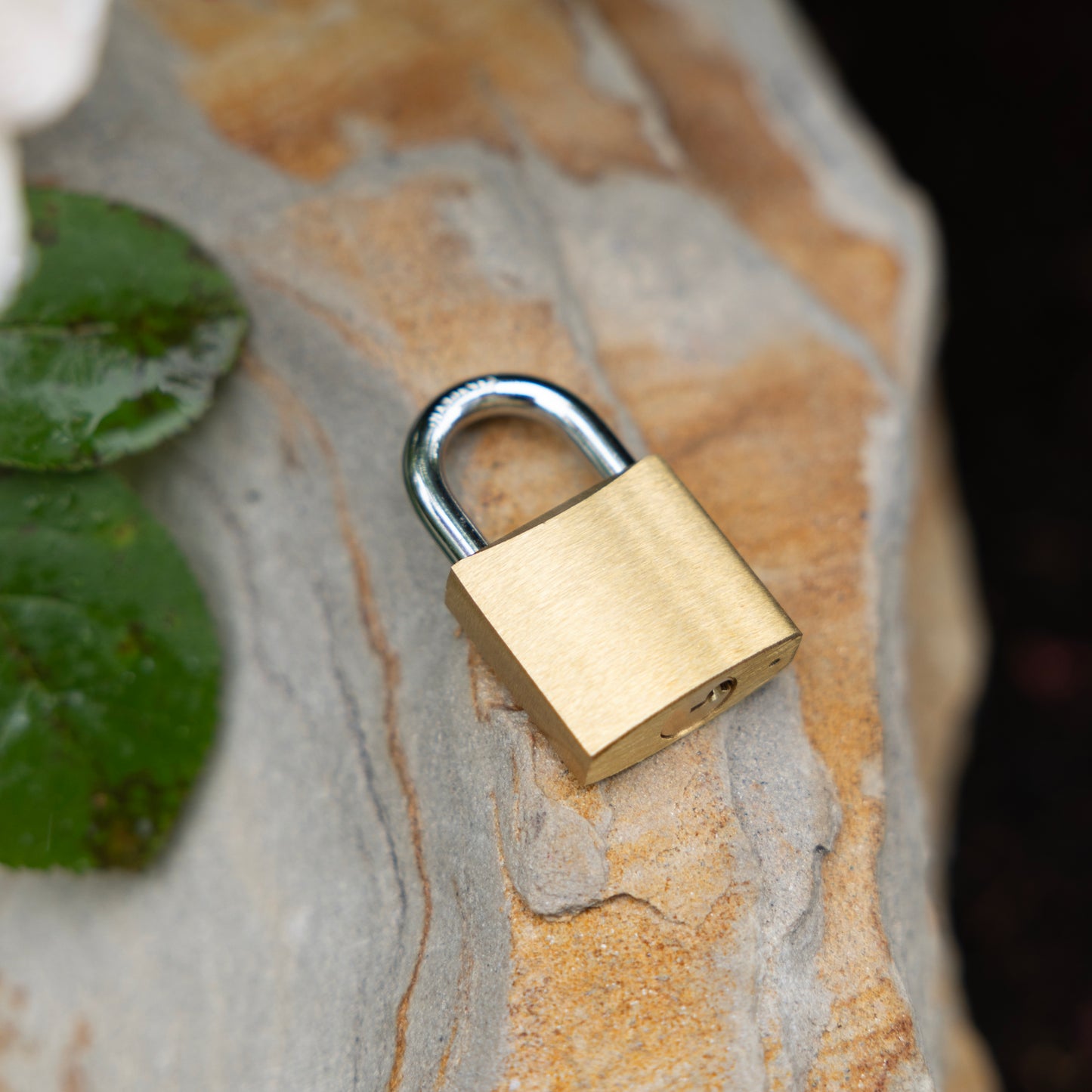 Hose Reel Padlock, 30mm Brass Padlock