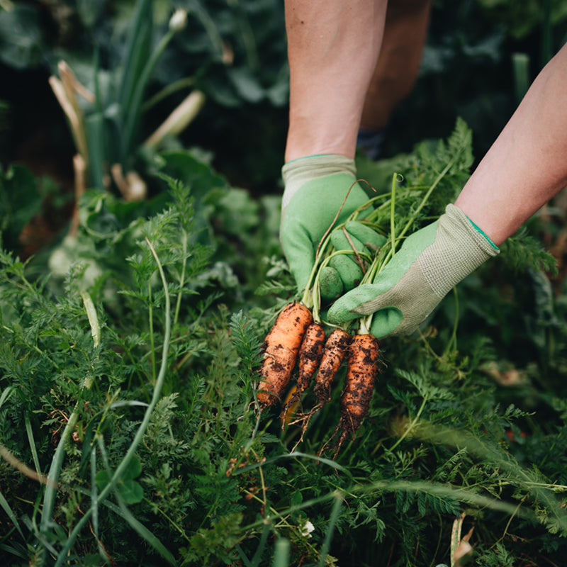 Lightweight Bamboo Garden Gloves