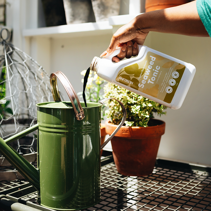 Seaweed organic deals