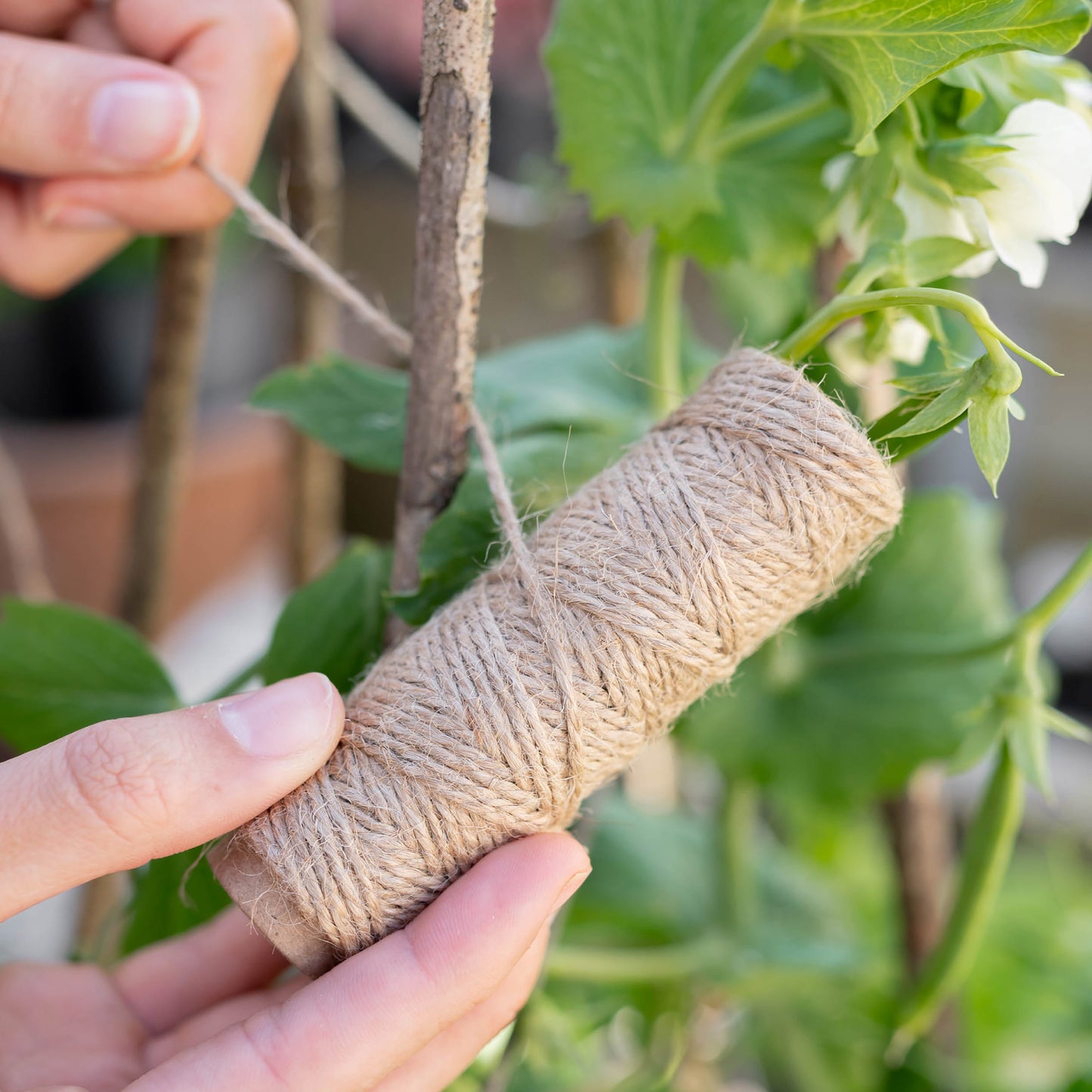 Jute Garden Twine | 25m