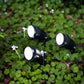 Solar Garden Spotlight | 3 Adjustable Heads | Warm White | ACCENT