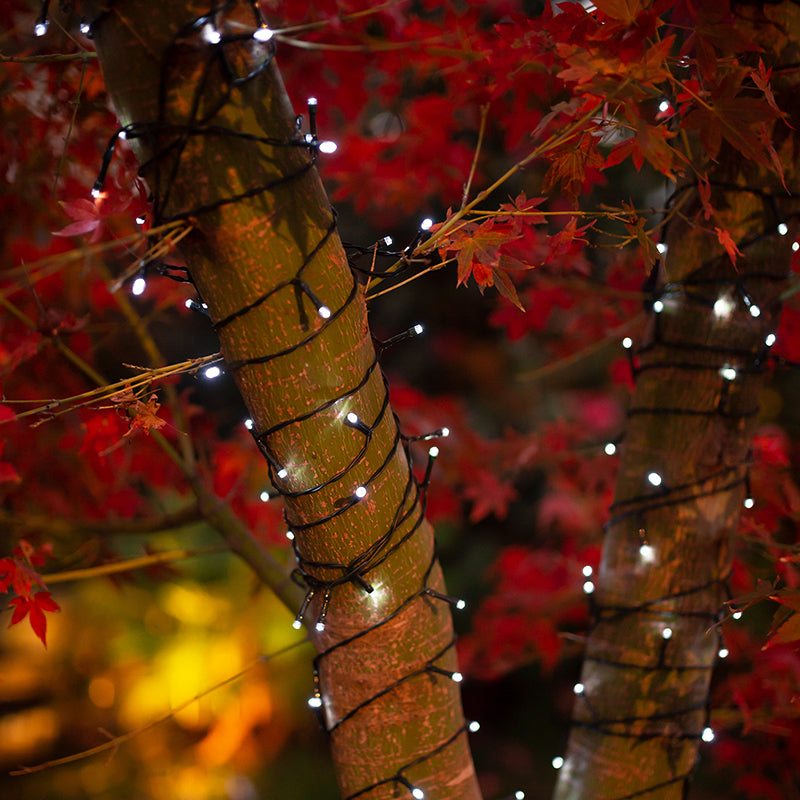 Outdoor solar twig lights top