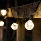 Solar Party Garland Lights | Starter Set | Warm White | 25 Bulbs | DAZZLE