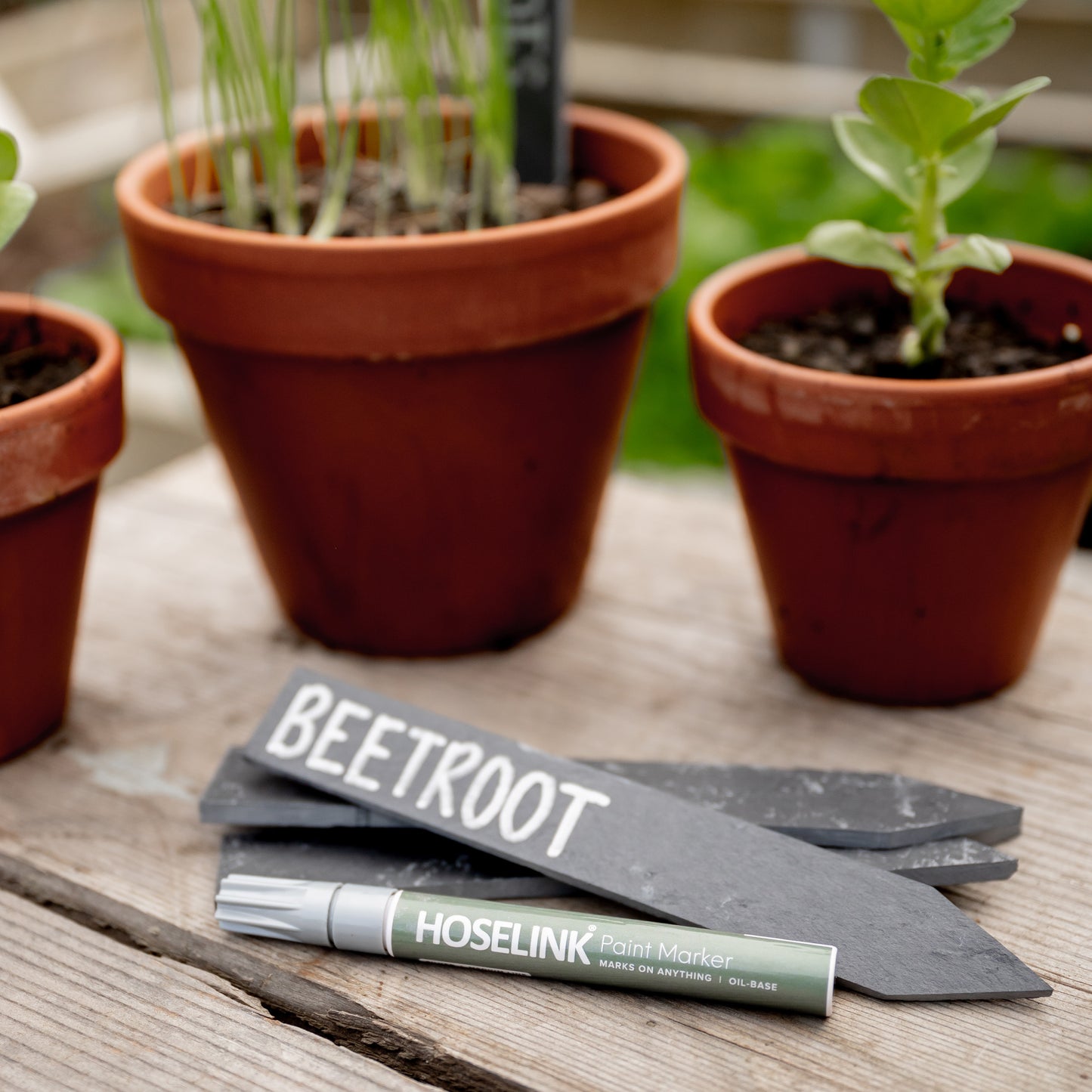 Slate Plant Labels & Marker Pen Pack
