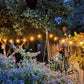 Solar Festoon Lights | Extension | Warm White | 25 Bulbs | FIESTA+