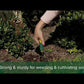 Garden Fork