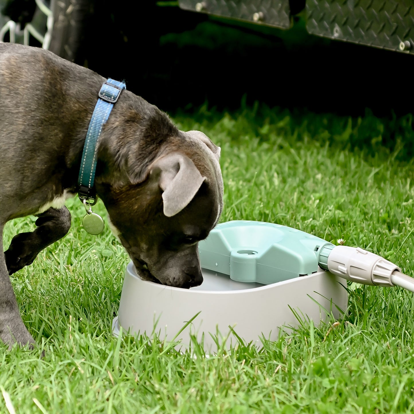 Auto-fill Pet Bowl + 5m Hose & Tap Connector