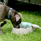 Auto-fill Pet Water Bowl