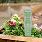 Rain Gauge